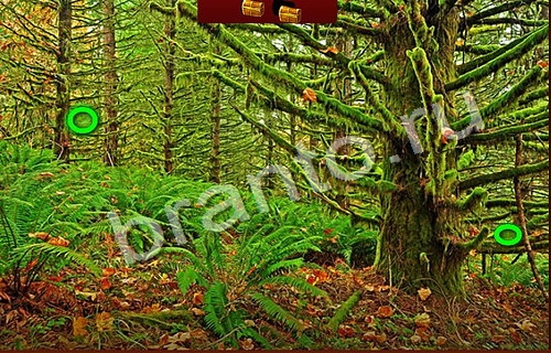 Пиратские сокровища игра подсказки Уровень 564