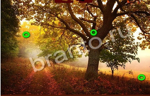 Игра Пиратские сокровища ответы одноклассники Уровень 597