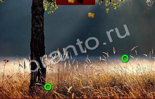 Пиратские сокровища игра в одноклассниках помощьУровень 615