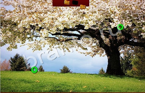 ответы на игру в одноклассниках Пиратские сокровища Уровень 696