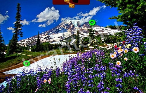 игра Пиратские сокровища помощь одноклассники Уровень 709