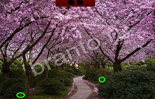 Игра Пиратские сокровища подсказки Уровень 838