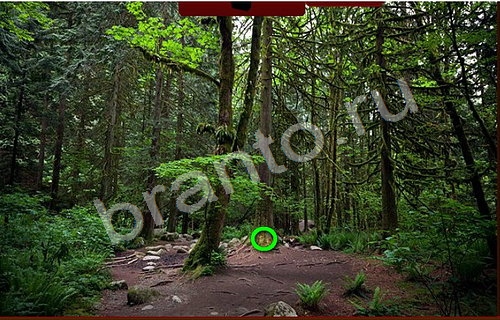 игра Пиратские сокровища помощь Уровень 839