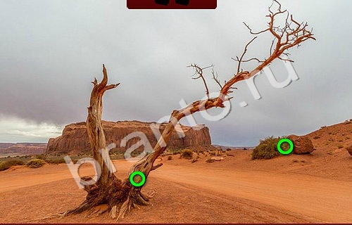 Пиратские сокровища подсказки в контакте Уровень 909