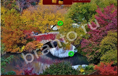 Пиратские сокровища игра помощь в контакте Уровень 925