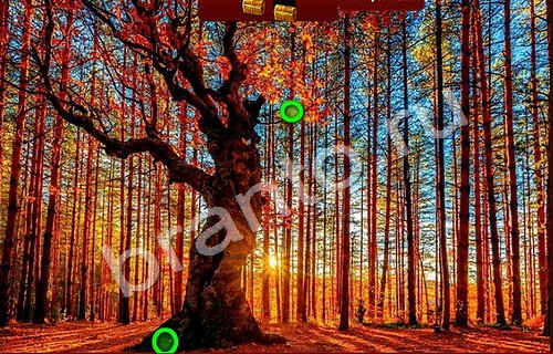 Пиратские сокровища решения Уровень 952