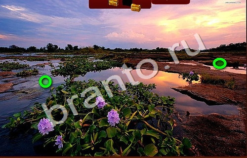 Пиратские сокровища решения Уровень 1032