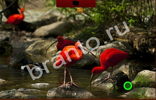 Пиратские сокровища игра помощь в контакте Уровень 1045