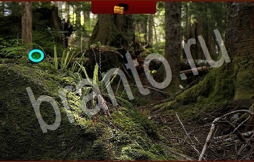 Пиратские сокровища игра подсказки Уровень 1064