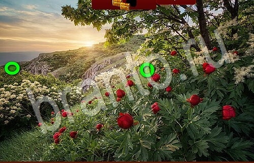 Решения на игру Пиратские сокровища Уровень 1083