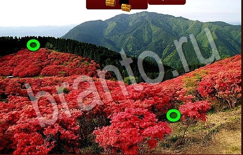 Пиратские сокровища подсказки в контакте Уровень 1119