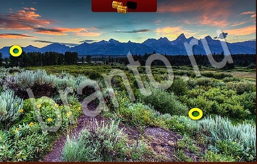 Пиратские сокровища игра ответы Уровень 1133