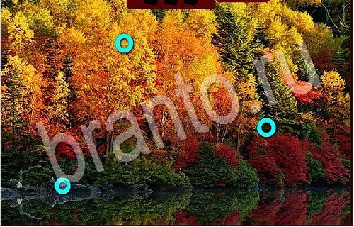 Игра Пиратские сокровища подсказки вк Уровень 1158