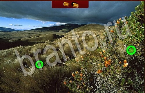 Помощь на игру ВК Пиратские сокровища Уровень 1234