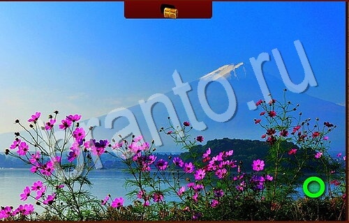 Пиратские сокровища игра подсказки Уровень 1244