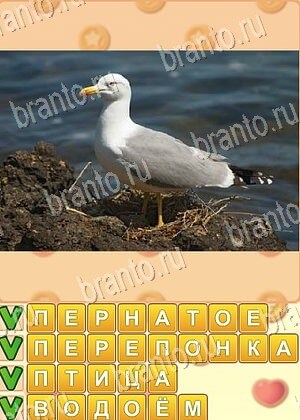 игра Поиск слов ответы в контакте уровень 666