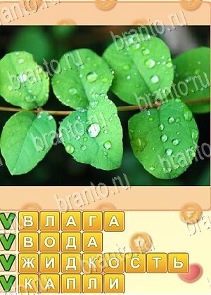 Искатель слов ответ на уровень 702