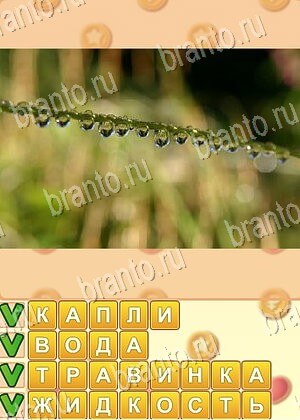 ответы на игру Искатель слов уровень 714