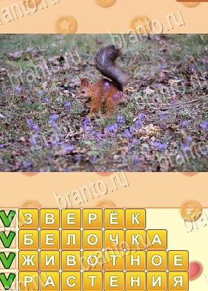 Поиск слов игра решения уровень 736