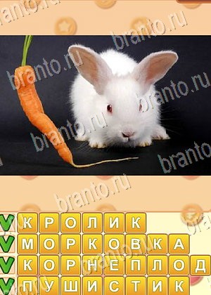 Поиск слов игра відповіді в одноклассниках уровень 738