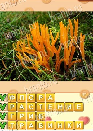 ответы на игру Поиск слов уровень 740