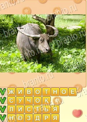 ответы на игру Поиск слов уровень 744