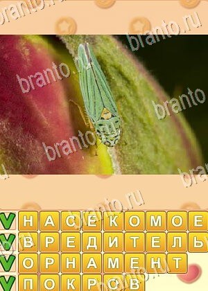 игра Поиск слов ответы в контакте уровень 756