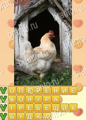 Поиск слов игра решения уровень 766