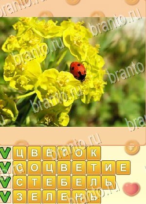 ответы на игру Поиск слов уровень 774