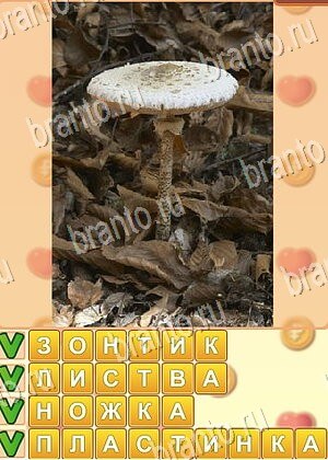 игра Поиск слов подсказки одноклассники уровень 787