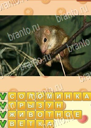 ответы на игру Поиск слов уровень 806