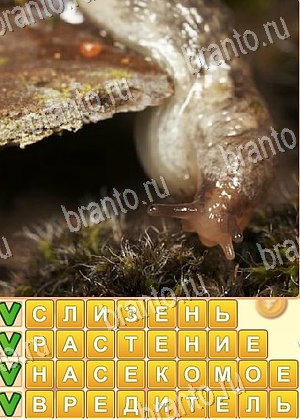 ответы на игру Поиск слов Одноклассники уровень 857