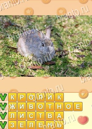 Поиск слов Одноклассники ответ на уровень 863