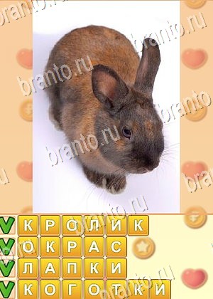 ответы на игру Поиск слов в Одноклассниках уровень 869