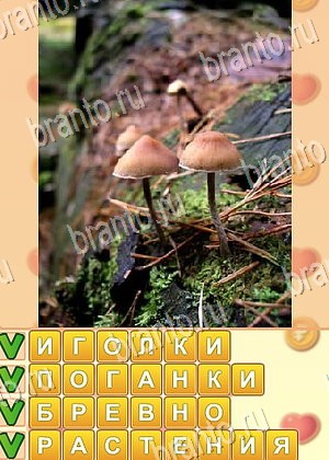 решения на игру Поиск слов Одноклассники уровень 874