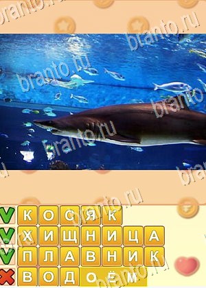 скриншоты с ответами Поиск слов уровень 884