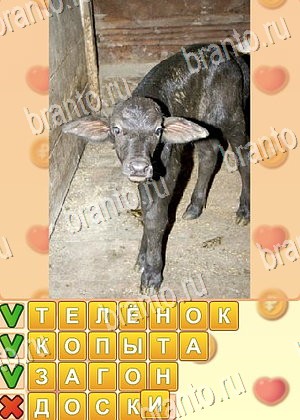 ответы на игру Поиск слов в Одноклассниках уровень 899