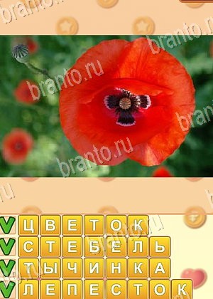 подсказки на игру Поиск слов уровень 902