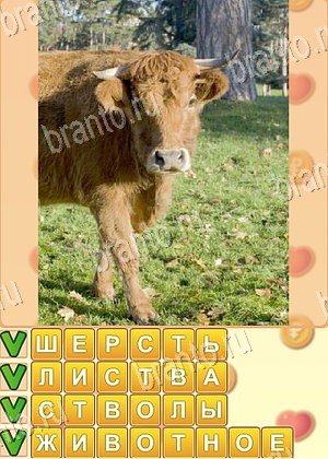 ответы на игру Поиск слов уровень 927