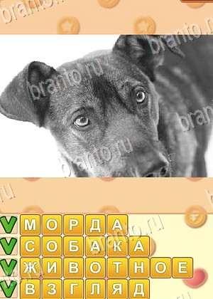 ответы на игру Поиск слов в контакте уровень 935