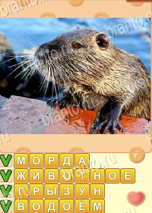 игра Поиск слов ответы в контакте уровень 936