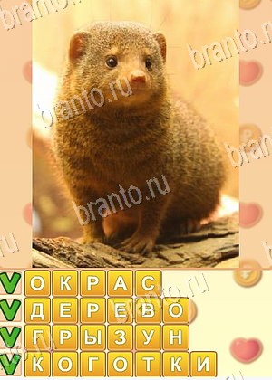 помощь на игру Поиск слов одноклассники уровень 963