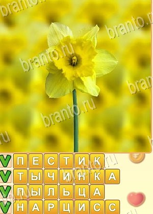 Поиск слов игра решения уровень 976