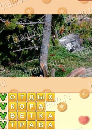 Поиск слов игра відповіді в одноклассниках уровень 978