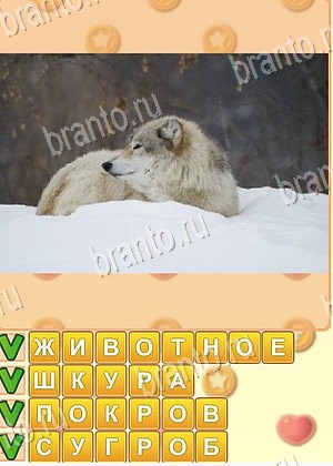 ответы на игру Поиск слов уровень 982