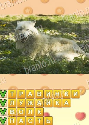 игра Поиск слов ответы в контакте уровень 996