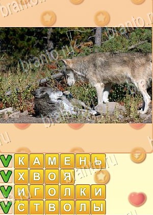 ответы на игру Поиск слов Одноклассники уровень 1007