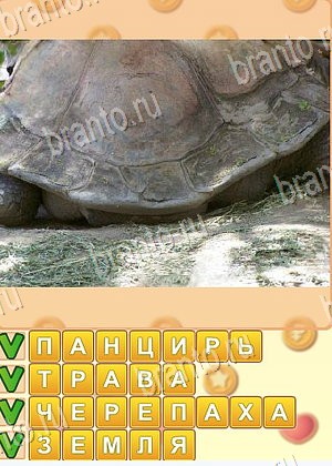 приложение Поиск слов ответы на все задания уровень 1009