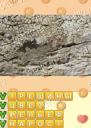 Поиск слов ответ на уровень 1011