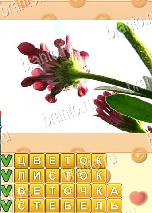 ответы на игру Поиск слов уровень 1015